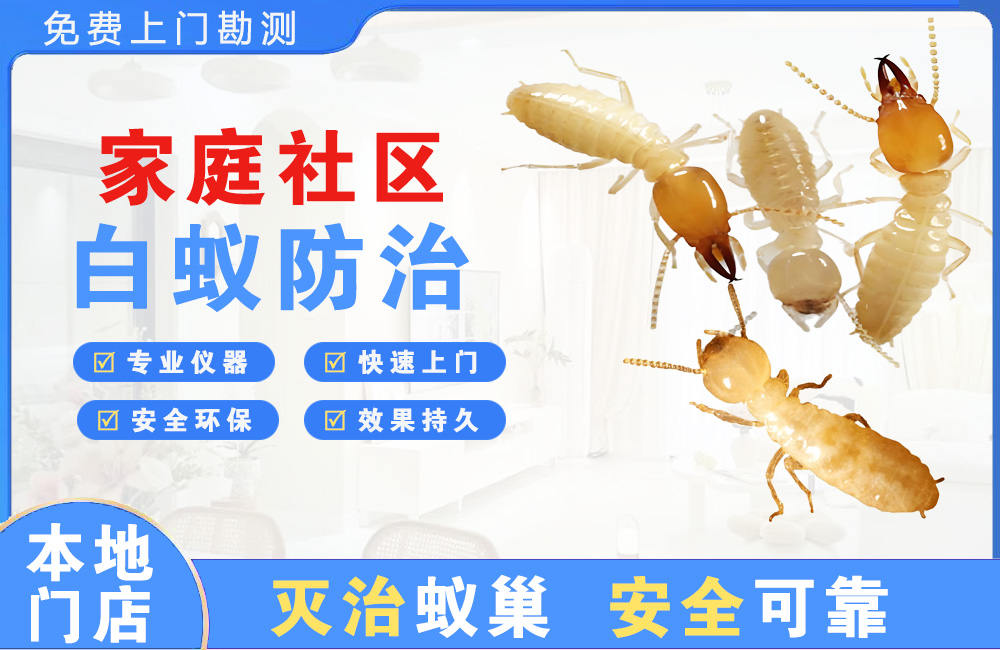 丰都家庭社区白蚁防治