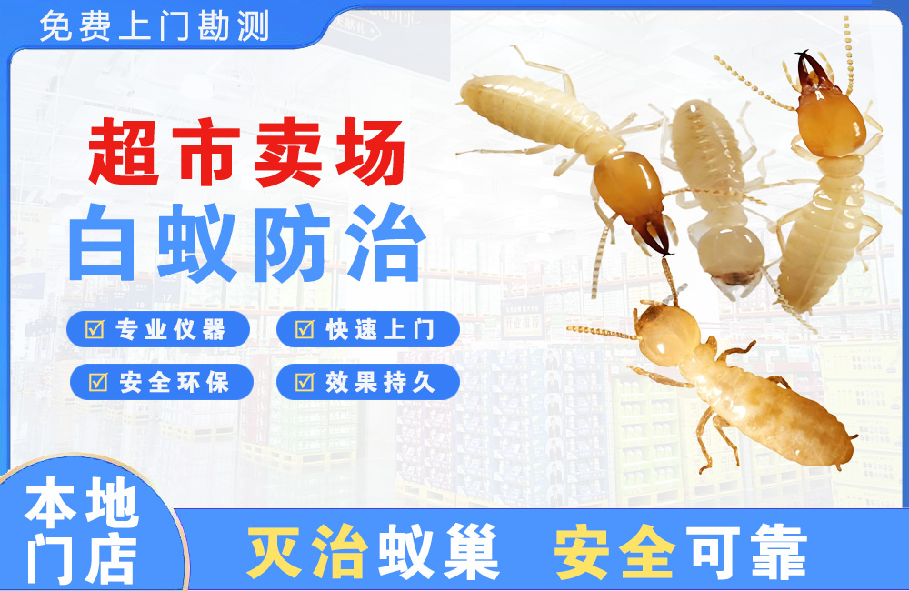 丰都超市卖场白蚁防治