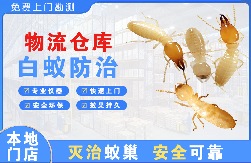 丰都物流仓库白蚁防治