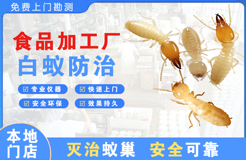 丰都食品加工厂白蚁防治