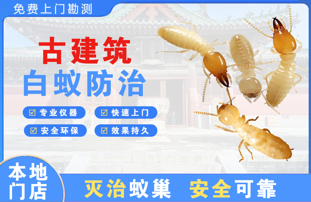 丰都古建筑白蚁防治