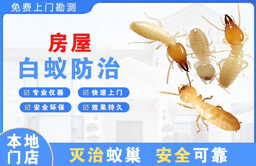 丰都房屋白蚁防治