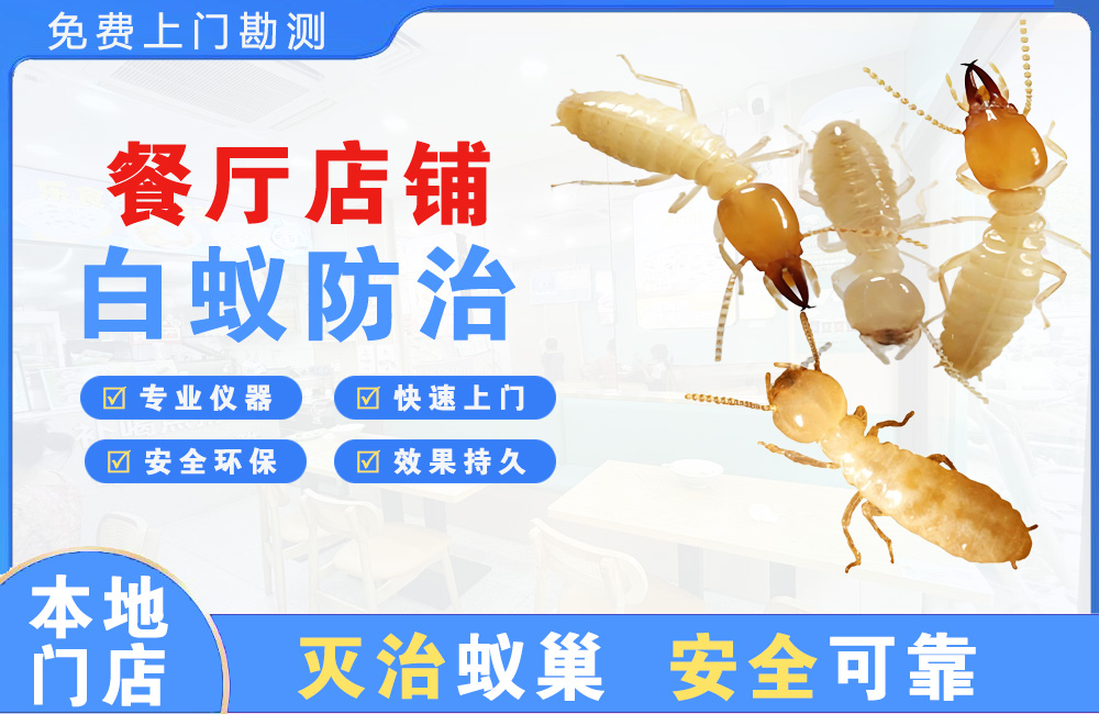 丰都餐厅店铺白蚁防治